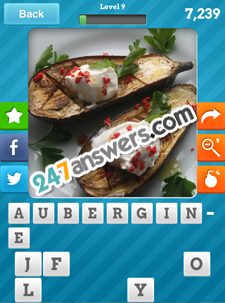Close Up Food Answers Level 9