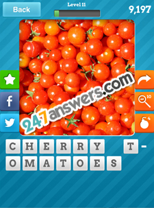 Close Up Food Answers Level 11