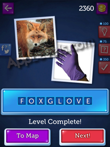 173-FOXGLOVE