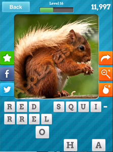 4-RED@SQUIRREL