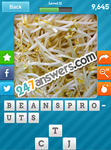 6-BEANSPROUTS