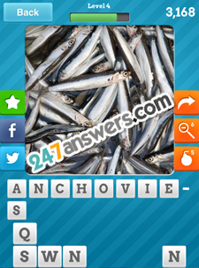 8-ANCHOVIES