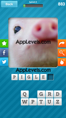 Close Up Animals Answers Level 2
