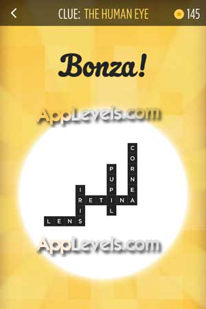 bonzawordpuzzle019