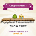 251-WEEPING@WILLOW