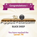 74-BLACK@SHEEP