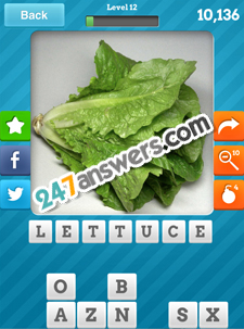 Close Up Food Answers Level 12