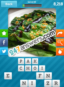Close Up Food Answers Level 10