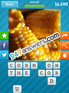 Close Up Food Answers Level 18