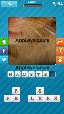 Close Up Animals Answers Level 7
